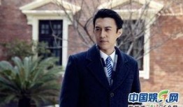 吃瓜娱乐圈讲靳东明楼,娱乐圈中的智慧与魅力