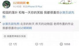 吃瓜夫妻娱乐圈百度云网盘,娱乐圈幕后故事大揭秘