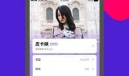 91线上直播,精彩瞬间回顾，带你领略网络直播的魅力